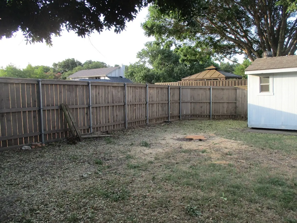 Cleared yard after professional tree removal in Albion